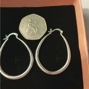 LuLaRoe Elegant Silver Hoop Earrings